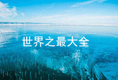 世界上最大的屁股 凭臀部半年入账2.8万美元