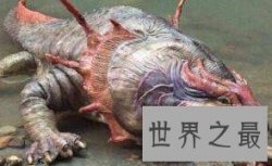 史前凶猛动物，体长8米能捕食恐龙