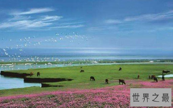 中国最大的淡水湖3960平方公里,像一个巨大的葫芦