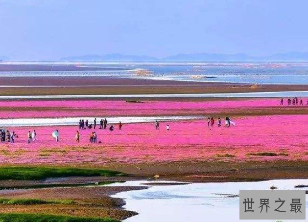 中国最大的淡水湖3960平方公里,像一个巨大的葫芦