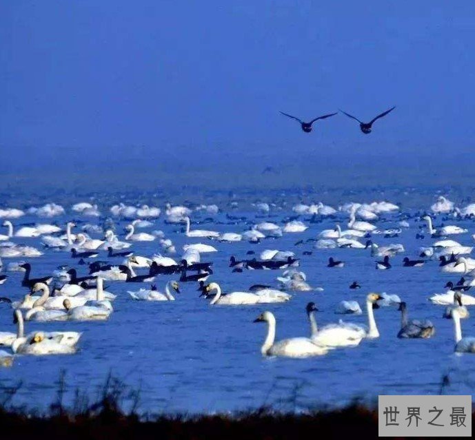 中国最大的淡水湖3960平方公里,像一个巨大的葫芦