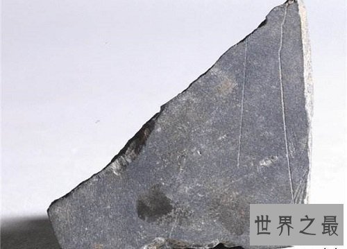 中国最早的文字是什么?大型历史文化科普课堂开课啦!