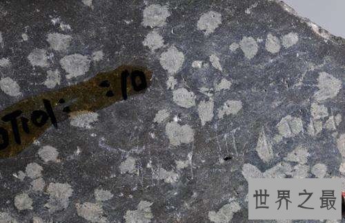 中国最早的文字是什么?大型历史文化科普课堂开课啦!