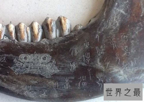 中国最早的文字是什么?大型历史文化科普课堂开课啦!