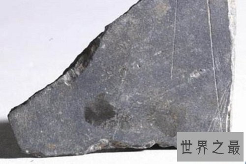 中国最早的文字是什么?大型历史文化科普课堂开课啦!