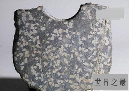 中国最早的文字是什么?大型历史文化科普课堂开课啦!