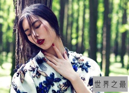 中国五大维密天使,奚梦瑶只排第四