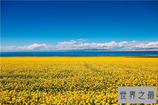 中国最大的湖泊,青海湖的水怪传说故事