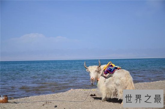 中国最大的湖泊,青海湖的水怪传说故事