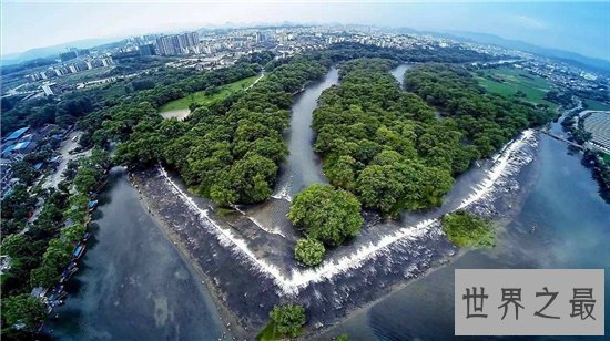 中国之最有哪些?吉林省具有世界上最大的陨石