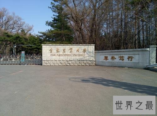 吉林有哪些大学,吉林大学十大排行!