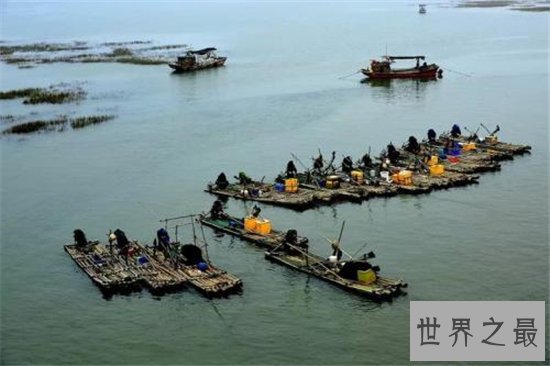 中国四大渔场,中国这些著名的渔场你都知吗?