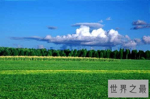 中国最大的平原,东北平原是中国的资源宝地