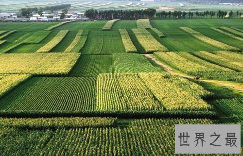 中国最大的平原,东北平原是中国的资源宝地