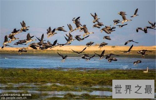 中国五大淡水湖，翻阳湖面积居然比巢湖大五倍