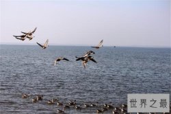 中国最大的淡水湖，与长江相通具有丰富自然资源