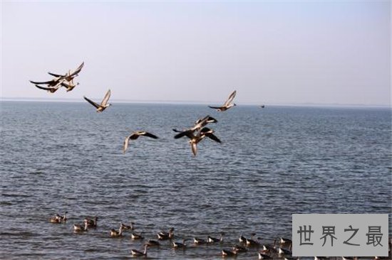 中国最大的淡水湖,与长江相通具有丰富自然资源