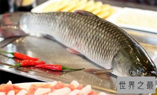 中国四大家鱼是哪四种,美味的青鱼你喜欢吗