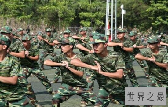 中国武术排名,感受一下中国武术文化的博大精深