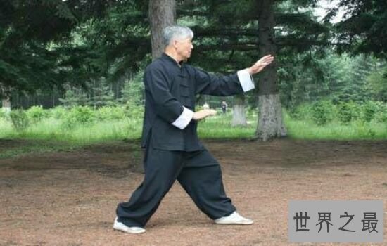 中国武术排名,感受一下中国武术文化的博大精深