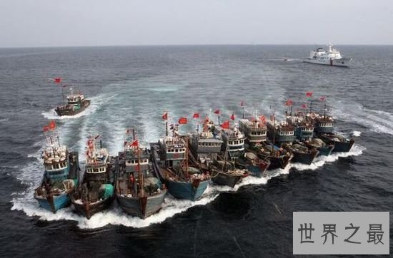 中国四大渔场 因为过度捕捞险些消失