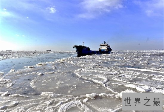 中国四大渔场 因为过度捕捞险些消失