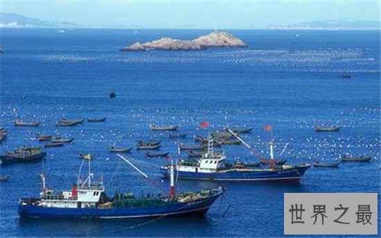 中国四大渔场 因为过度捕捞险些消失