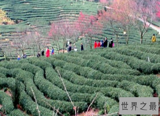 盘点10个中国最美的地方 简直就是人间仙境值得一去!