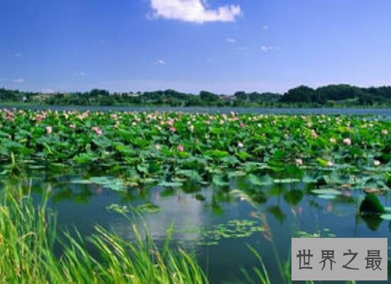 盘点10个中国最美的地方 简直就是人间仙境值得一去!