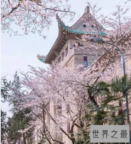 十所中国最美大学 个个漂亮到亮瞎你的双眼