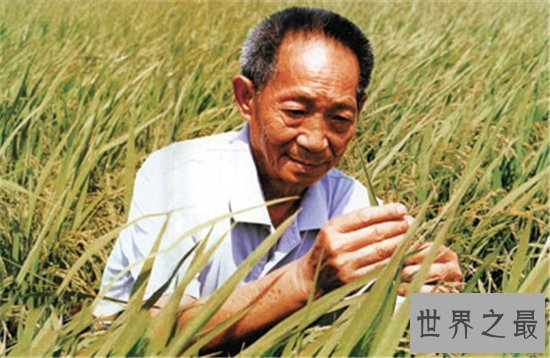 中国最伟大的科学家竟然不是屠呦呦 此人养活了数亿中国人