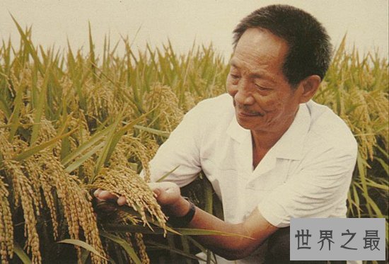 中国最伟大的科学家竟然不是屠呦呦 此人养活了数亿中国人