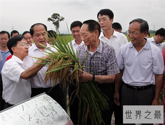 中国最伟大的科学家竟然不是屠呦呦 此人养活了数亿中国人