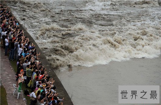 壮观！钱塘江大潮威力无穷，快来先睹为快