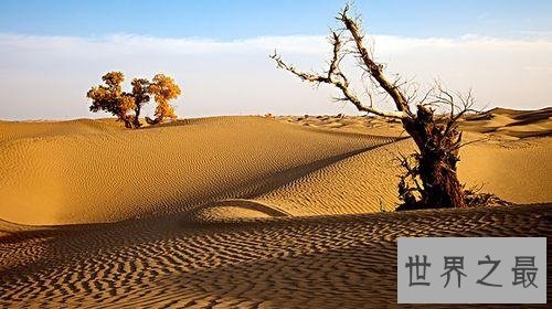 中国最大的沙漠也是世界最神秘的沙漠 面积有三个省那么大