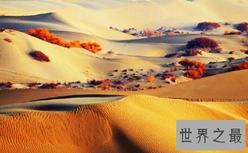 中国最大的沙漠也是世界最神秘的沙漠 面积有三个省那么大