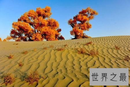 中国最大的沙漠也是世界最神秘的沙漠 面积有三个省那么大