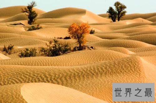 中国最大的沙漠也是世界最神秘的沙漠 面积有三个省那么大