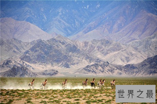 无数人丧生于此地的中国四大无人区,没有几个人敢去挑战