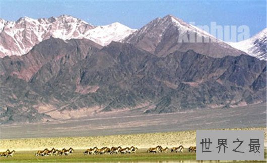 无数人丧生于此地的中国四大无人区,没有几个人敢去挑战