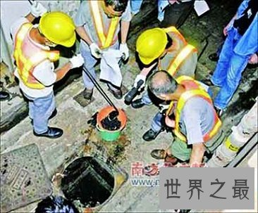 hellokitty碎尸案，究竟是人性的泯灭还是道德的沦丧