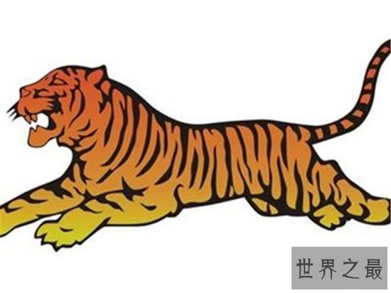 属虎的今年多大年龄时运最旺 耐人寻味的2018属虎人的好运势