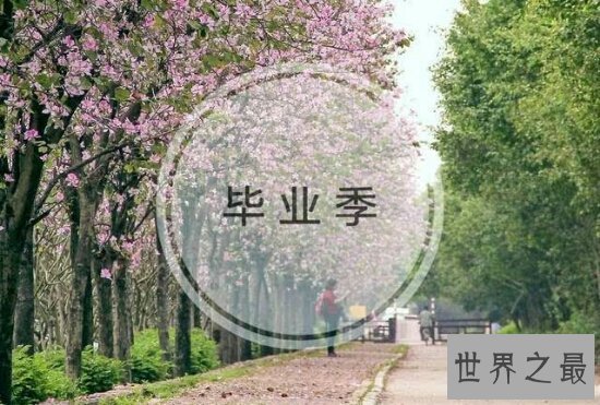 发自肺腑的毕业感言，三年同学情谊永不变