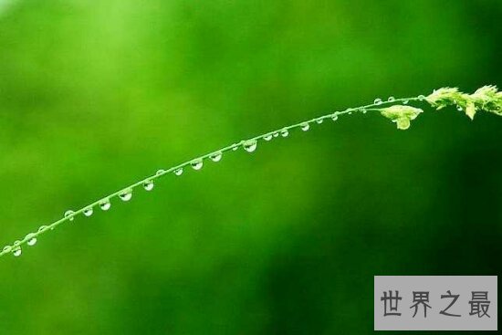 人生感言·人生不就是在生命的长河中探索？