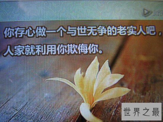 人生感言·人生不就是在生命的长河中探索？