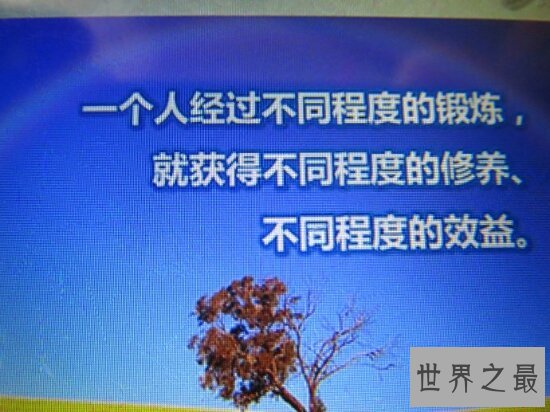 人生感言·人生不就是在生命的长河中探索？
