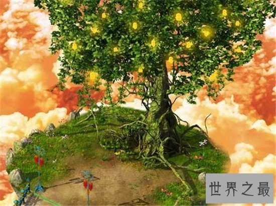 探索人参果树的秘密，吃了传说中的人参果真的能长生不老吗？