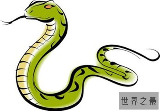 属蛇的今年多大是时运最好的年龄 属蛇人为什么时运这么好