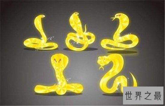 属蛇的今年多大是时运最好的年龄 属蛇人为什么时运这么好