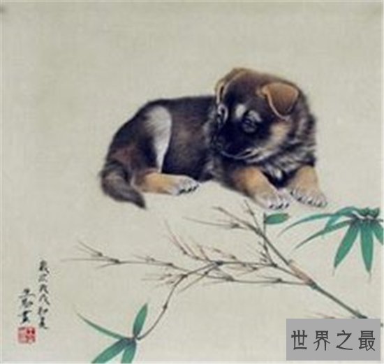 属狗的今年多大年龄才是时运最旺的年龄 属狗人桃花运为什么这么好